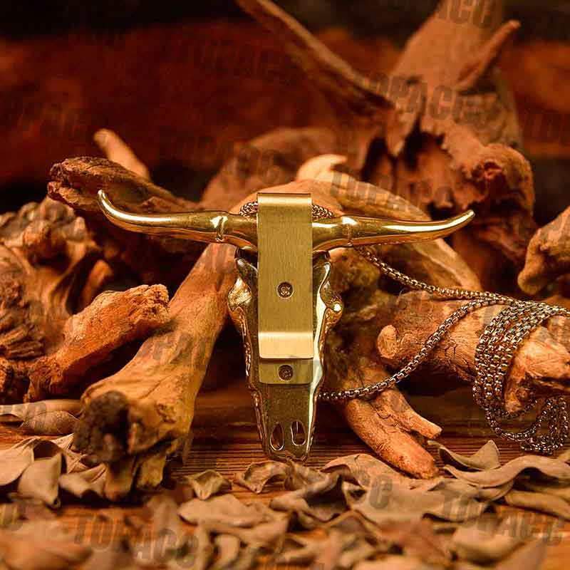 TOPACC Longhorn Skull