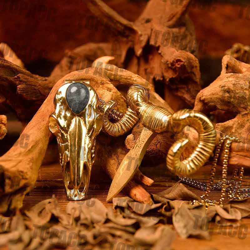 TOPACC Argali Skull